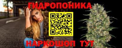 скорость Пугачёв