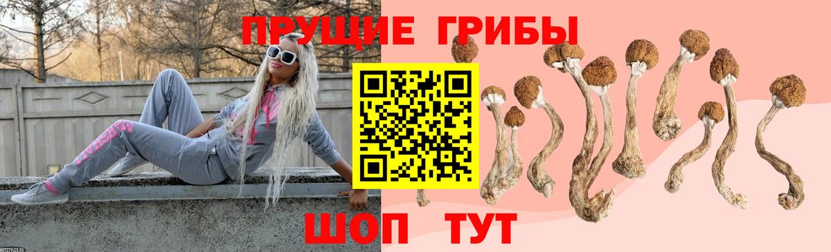 Галлюциногенные грибы Psilocybe  Вход с VPN  Псилоцибиновые грибы MAGIC MUSHROOMS  Соликамск 